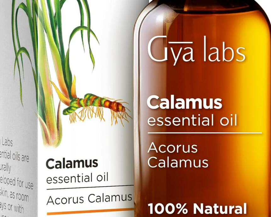 Acorus Calamus