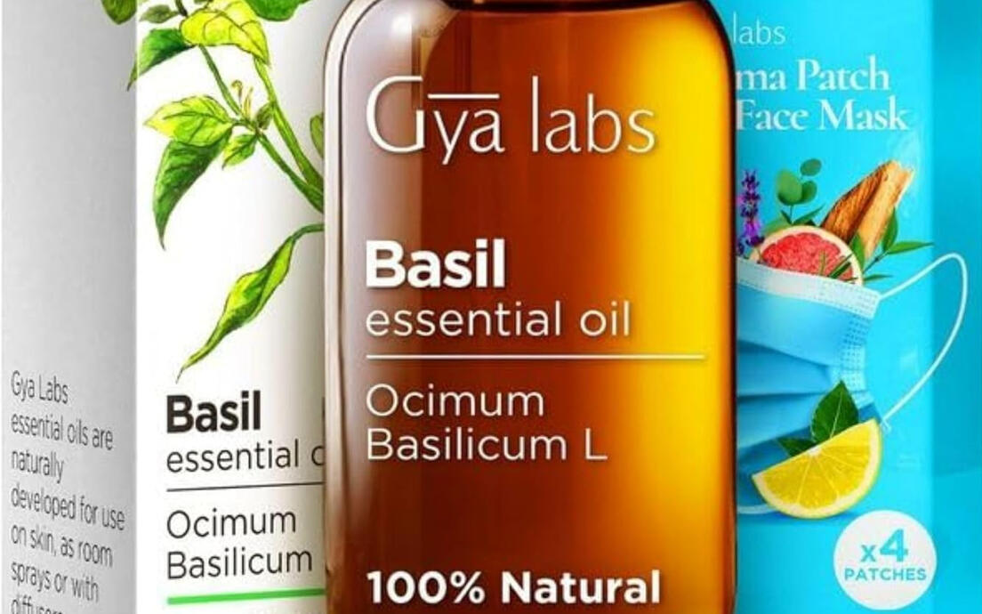 Ocimum Basilicum L