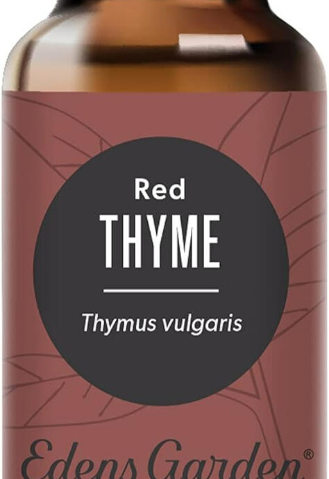 Thymus Vulgaris