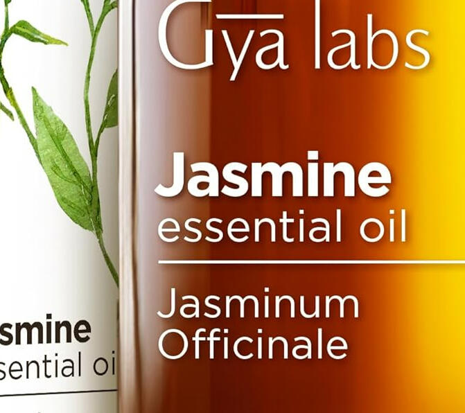Jasminum Officinale